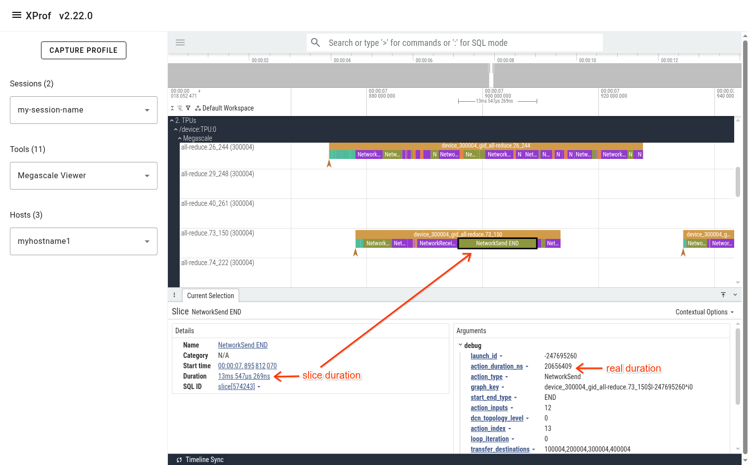 Screenshot showing event arguments for Megascale NetworkSend event